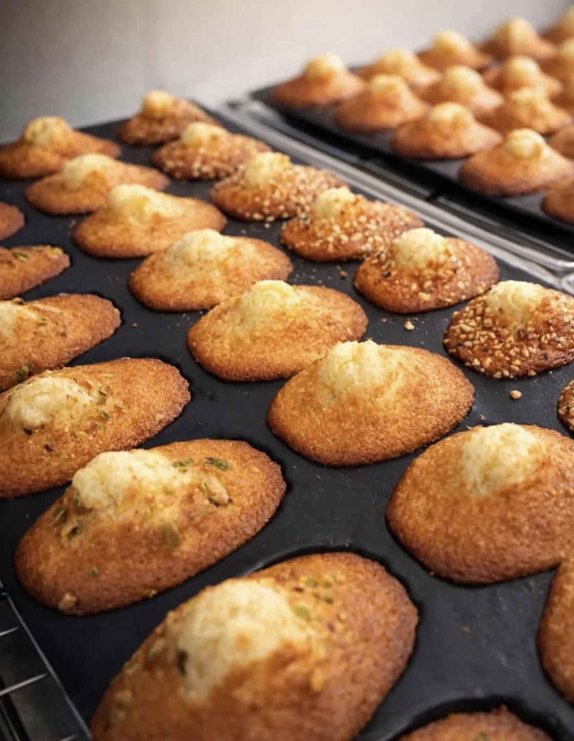 Trays of freshly baked madeleines, some topped with pistachio and sesame, still in the pan.
